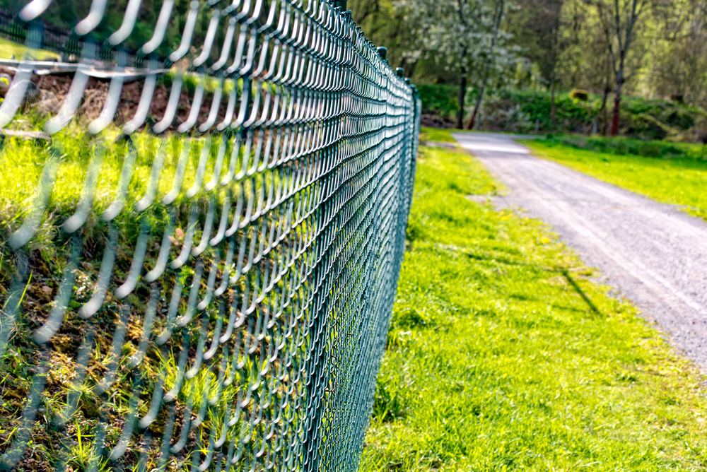 Poplastované pletivo – stálice mezi ploty